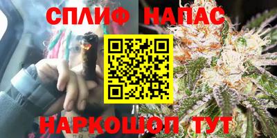 spice Кулебаки
