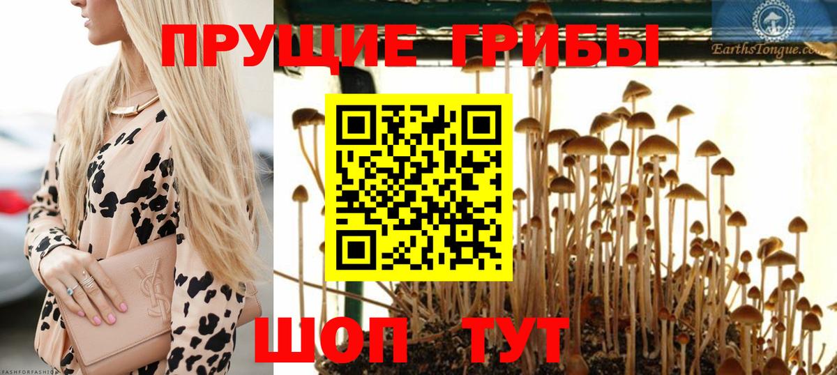 COCAIN  Меф МЯУ МЯУ  Чистополь  МЕФ   Экстази  МАРИХУАНА  Гашиш  A-PVP СК кристаллы  Вход с VPN 