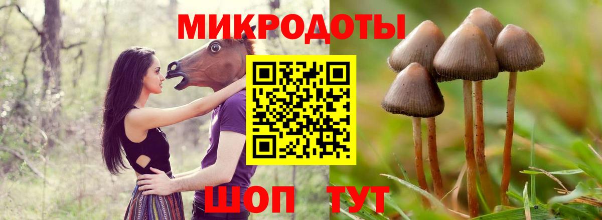 Галлюциногенные грибы GOLDEN TEACHER  Галлюциногенные грибы GOLDEN TEACHER  Вход с VPN  Чистополь 